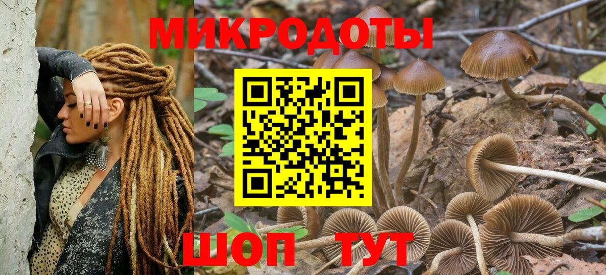 Псилоцибиновые грибы Magic Shrooms Магадан