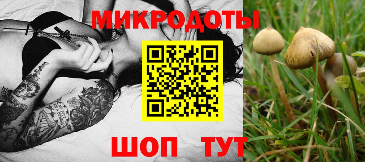 Галлюциногенные грибы GOLDEN TEACHER  купить наркоту  Вход с VPN  Магадан  Псилоцибиновые грибы мухоморы 